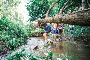 BIB: 
                            <button type="button" onclick="openModal(25515583)" class="btn btn-primary btn-sm float-right btn-popup" data-toggle="modal" data-target=".modal-high-quality">
                        <i class="fas fa-shopping-cart"></i> Add to Cart
                    </button>
                                            <button type="button" onclick="isThisMe(25515583, true)" class="btn btn-success btn-sm float-right btn-popup btn-isme hidden" data-toggle="tooltip" data-placement="bottom" title="นี่คือรูปของคุณใช่ไหม คลิกที่นี่เพื่อเอาเข้าอัลบั้ม">
                        <i class="fas fa-plus"></i> Add to album
                    </button>
                    <button type="button" onclick="isThisMe(25515583, false)" class="btn btn-warning btn-sm float-right btn-popup btn-isnotme hidden">
                        <i class="fas fa-ban"></i> Remove from album
                    </button>